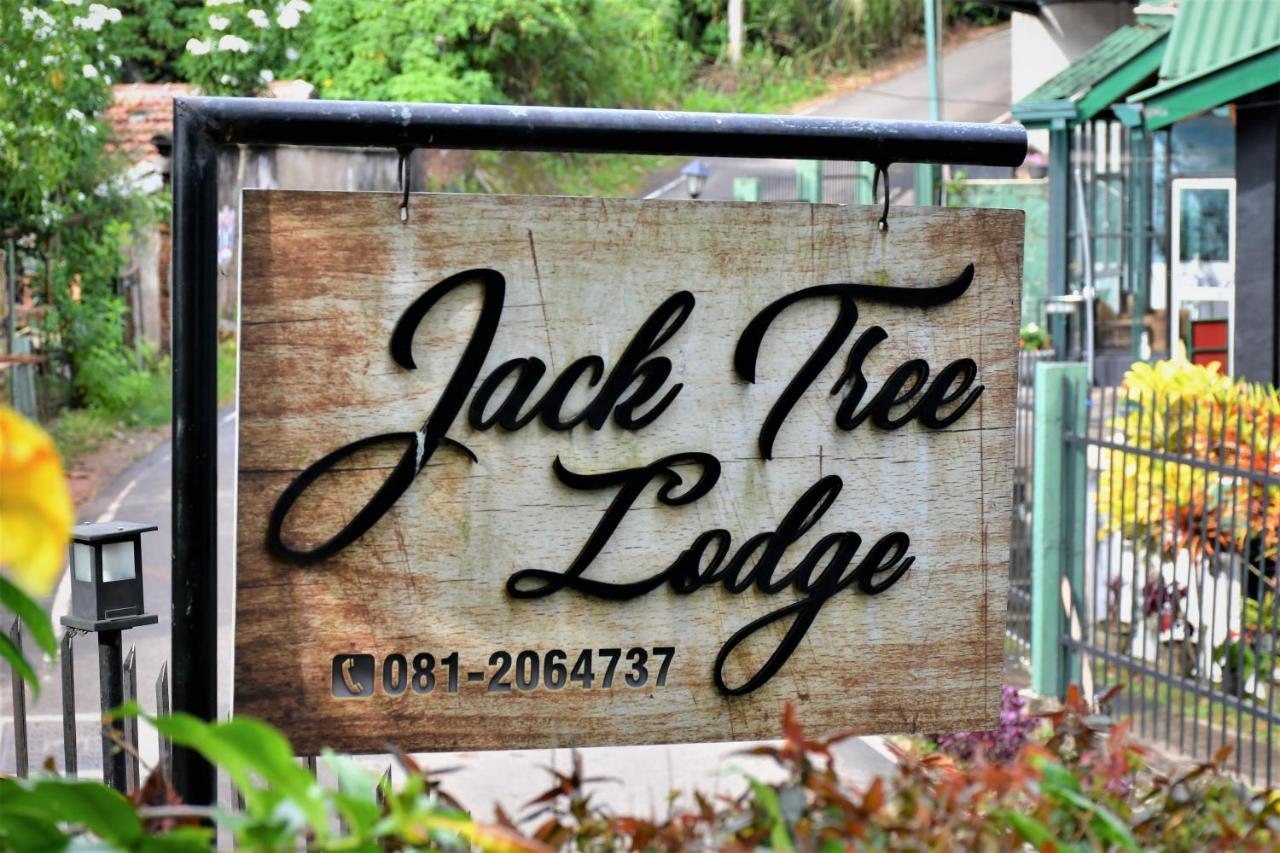 Jack Tree Lodge Канді Екстер'єр фото
