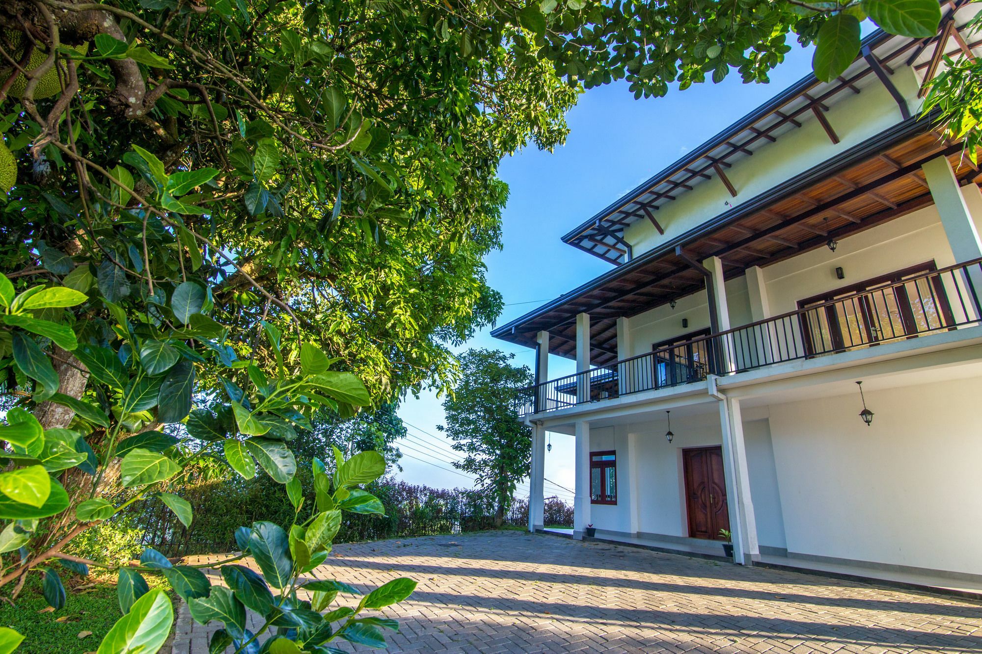 Jack Tree Lodge Канді Екстер'єр фото
