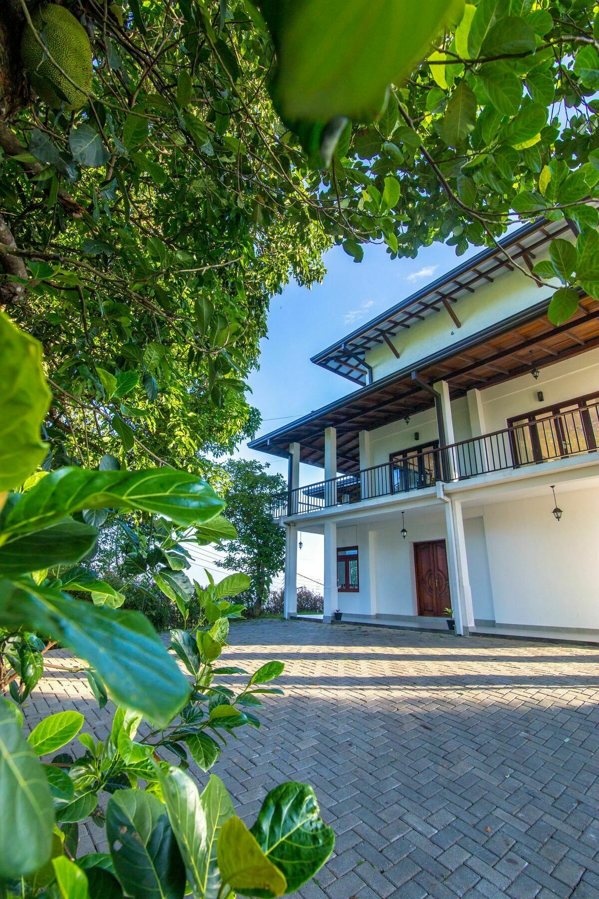 Jack Tree Lodge Канді Екстер'єр фото